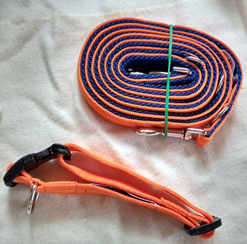 Two-tone collar and lead set